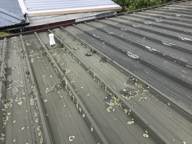 Stage 1 Lichen Treatment & Rust Prevention on Weathered Roof